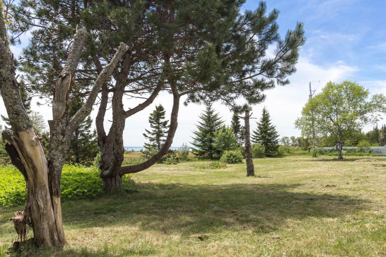Fox Point Inn Parrsboro Екстериор снимка