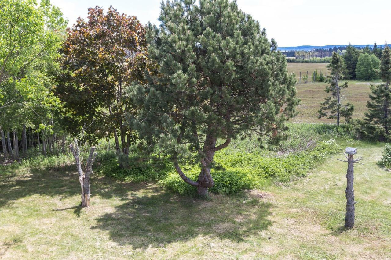 Fox Point Inn Parrsboro Екстериор снимка
